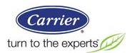 logo Springer